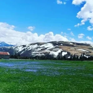 FANTASTIC KASHMIR WITH VESHNODEVI DARSHAN EX JAMMU PACKAGE---7Nights/8Days WITH DARSHAN
