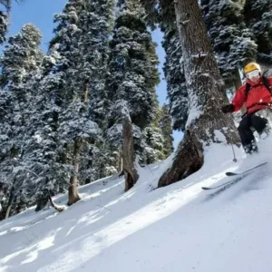Kashmir Group/Friends Tour- Srinagar to Gulmarg, Sonamarg, Pahalgam and Local- 6 Days & 5 Nights Tour