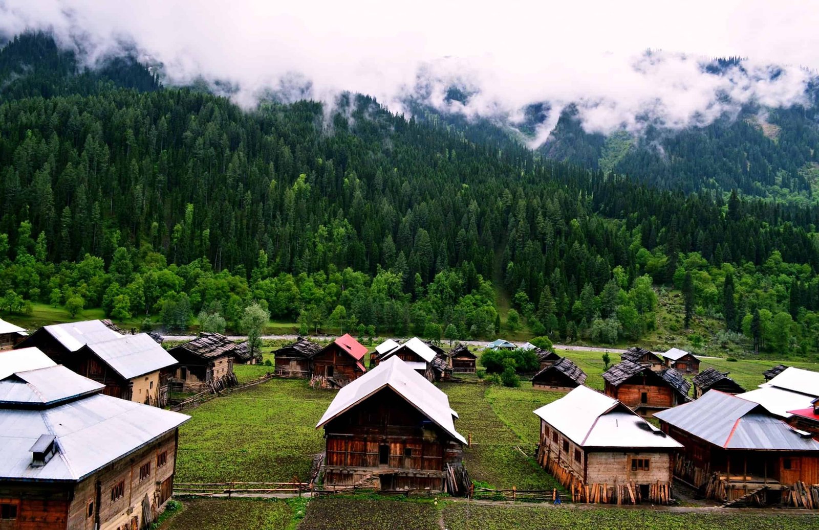 Trekking Package | Srinagar – Sonamarg | 4N5D